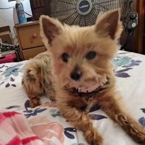 Meet your Posher, Carla